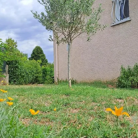Le Flamenco Holiday home Albi